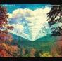 Innerspeaker - Vinil - Preview