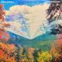 Innerspeaker - Vinil - Preview