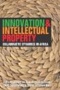 Innovation And Intellectual Property - Preview