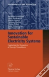Innovation For Sustainable Electricity Systems