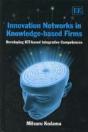 Innovation Networks In Knowledge-Based Firms - Preview