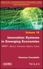 Innovation Systems In Emerging Economies - Preview