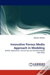 Innovative Porous Media Approach In Modeling