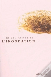 Capa do artigo Inondation