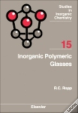 Capa do artigo Inorganic Polymeric Glasses