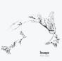 Inscape - CD - Preview