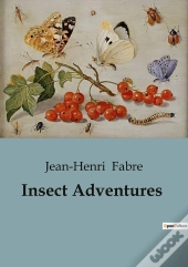 Insect Adventures