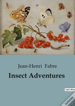 Capa do artigo Insect Adventures