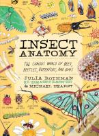 Insect Anatomy