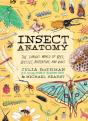 Insect Anatomy - Preview