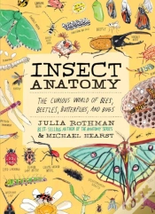 Capa do artigo Insect Anatomy