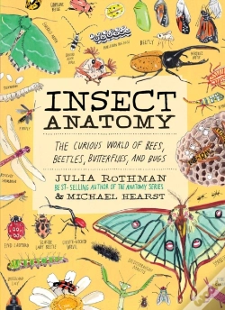Capa do artigo Insect Anatomy