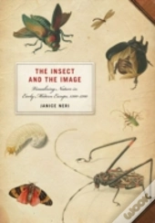 Insect And The Image