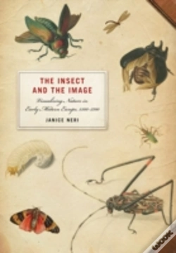 Capa do artigo Insect And The Image