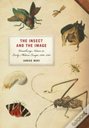 Capa do artigo Insect And The Image