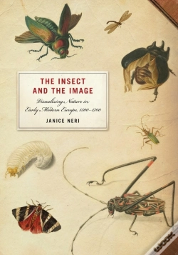 Capa do artigo Insect And The Image