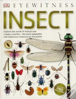 Capa do artigo Insect