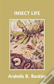Capa do artigo Insect Life (Yesterday
