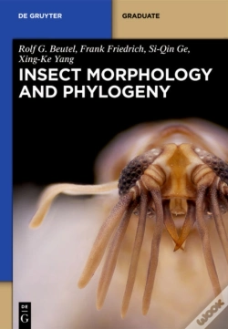 Capa do artigo Insect Morphology And Phylogeny