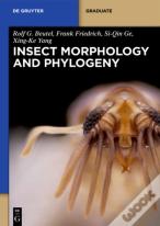 Insect Morphology And Phylogeny