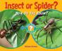 Insect Or Spider? - Preview