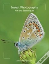 Insect Photography