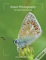 Capa do artigo Insect Photography