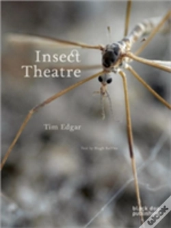 Capa do artigo Insect Theatre