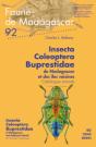 Insecta Coleoptera Buprestidae - Preview