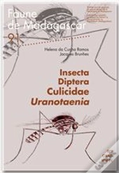 Insecta Diptera Culicidae Uranotenia