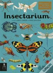 Capa do artigo Insectarium