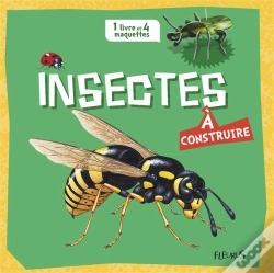 Capa do artigo Insectes À Construire