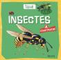 Insectes À Construire - Preview
