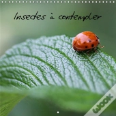 Insectes A Contempler Calendrier Mural 2018 300 300 Mm Square