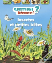 Capa do artigo Insectes