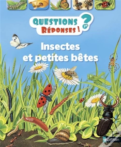 Capa do artigo Insectes