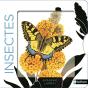 Insectes - Preview