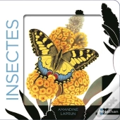 Insectes