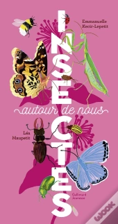 Insectes Autour De Nous