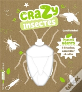 Insectes