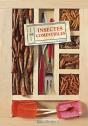 Insectes Comestibles - Preview