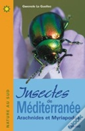 Insectes De Méditerranée