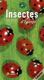 Capa do artigo Insectes D