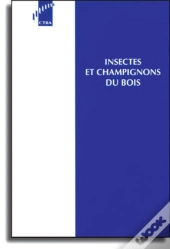 Insectes Et Champignons Du Bois