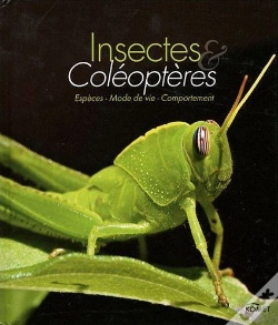 Capa do artigo Insectes Et Coléoptères