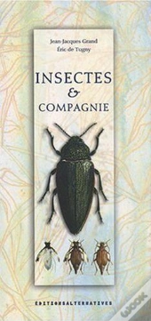 Insectes Et Compagnie