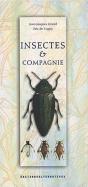 Insectes Et Compagnie - Preview