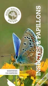 Insectes Et Papillons