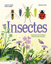 Insectes