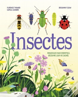 Capa do artigo Insectes